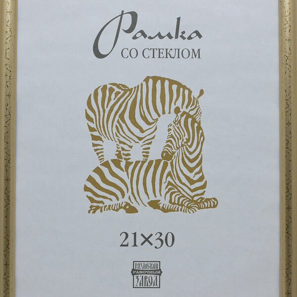 Рамка пластиковая А 4 золотого цвета 509