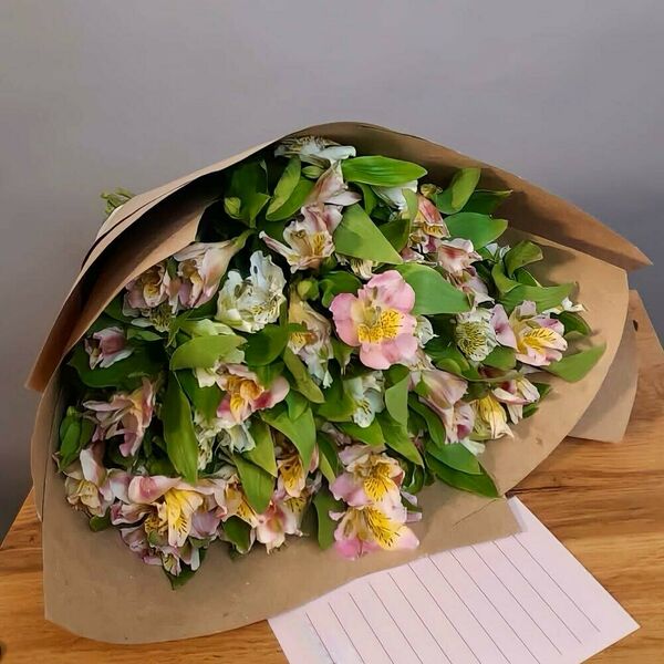 Букет из 19 белых и розовых альстромерий