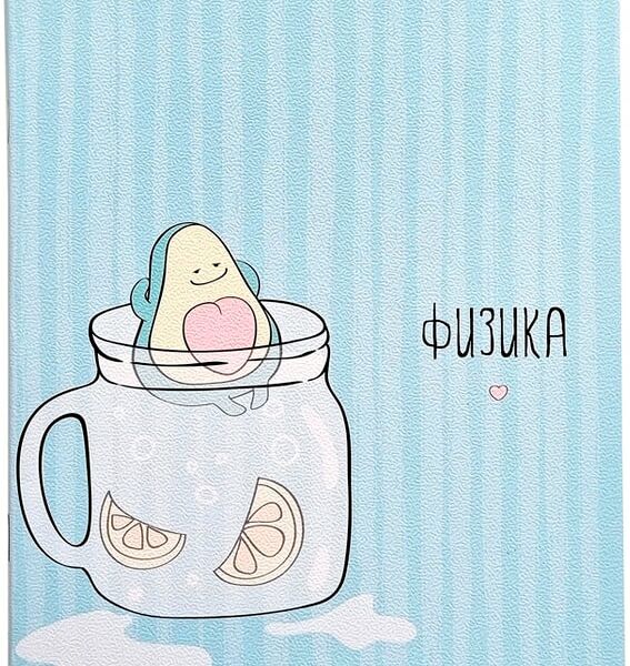 Тетрадь общая Be Smart Avocado Физика 165*203мм клетка 48л