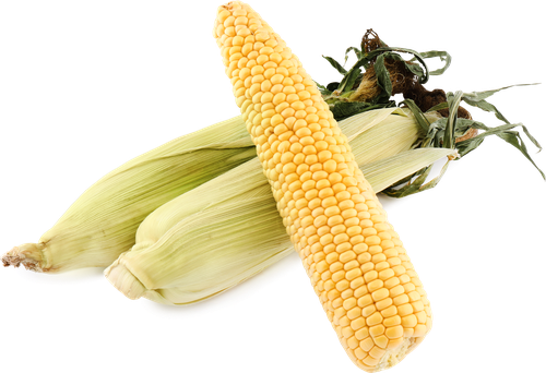 

Кукуруза свежая фасованная весовая