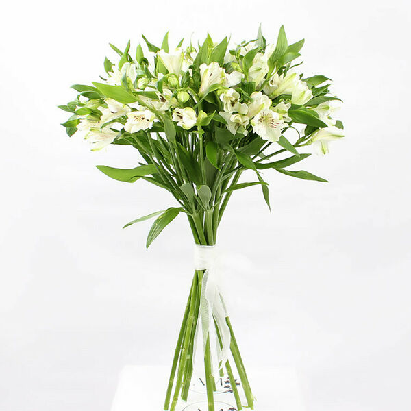 Букет 9 белой альстромерии