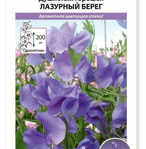 Семена РУССКИЙ ОГОРОД Парфюм, Душистый горошек Лазурный берег