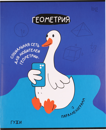 

Тетрадь BG Геометрия, 40 листов, эконом