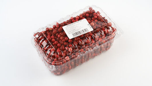 Брусника дикорастущая, 500 г