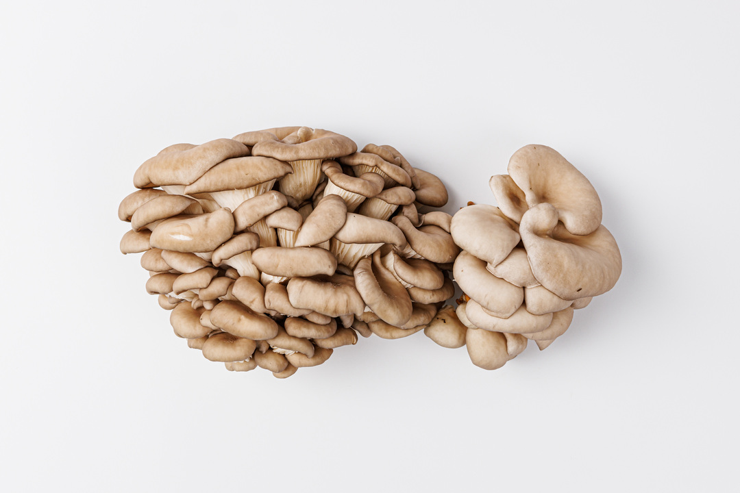 

Грибы Вешенка 300г