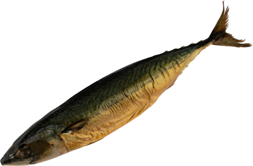 

Скумбрия Рыбный ряд холодного копчения вес