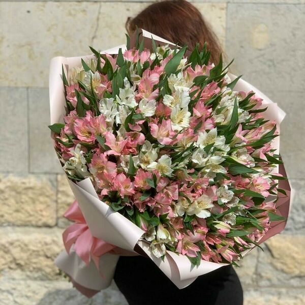 Монобукет из альстромерий 51 шт (арт.227)