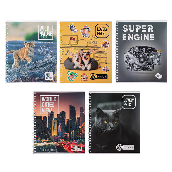 Тетрадь общая 48 листов в клетку, блок№2, обложка картон, спираль, в ассортименте