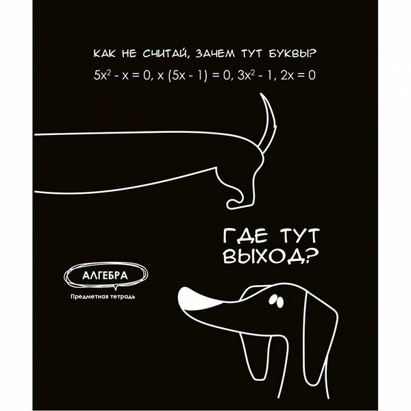 Тетрадь PROF-PRESS Алгебра. Подслушано, 48 листов, в клетку, Арт. Т48-1453