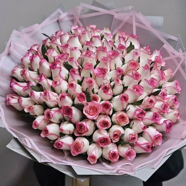 101 роза джумилия