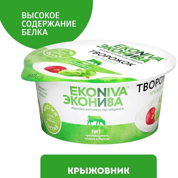 Творожок ЭкоНива с крыжовником 5% 125г