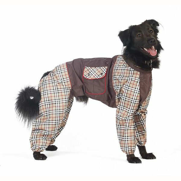 Комбинезон холодный для собак Такса средняя XL (мальчик)