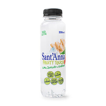 Напиток негазированный Sant'Anna Fruity Touch с гуараной со вкусом лайма и имбиря 0.33л, Италия