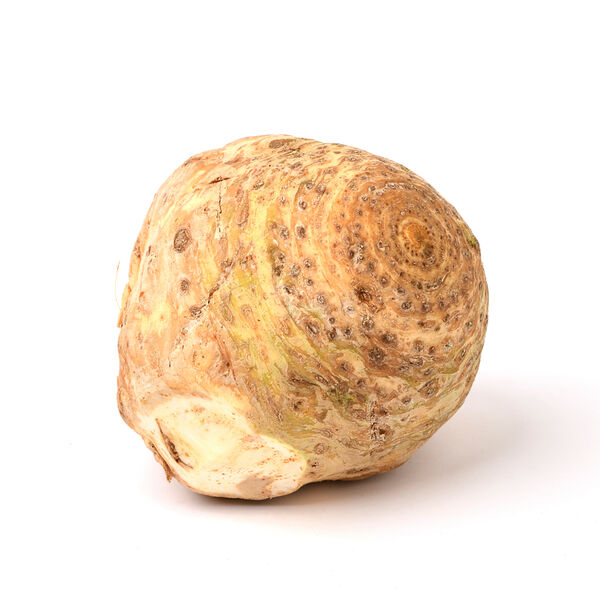 Сельдерей корень