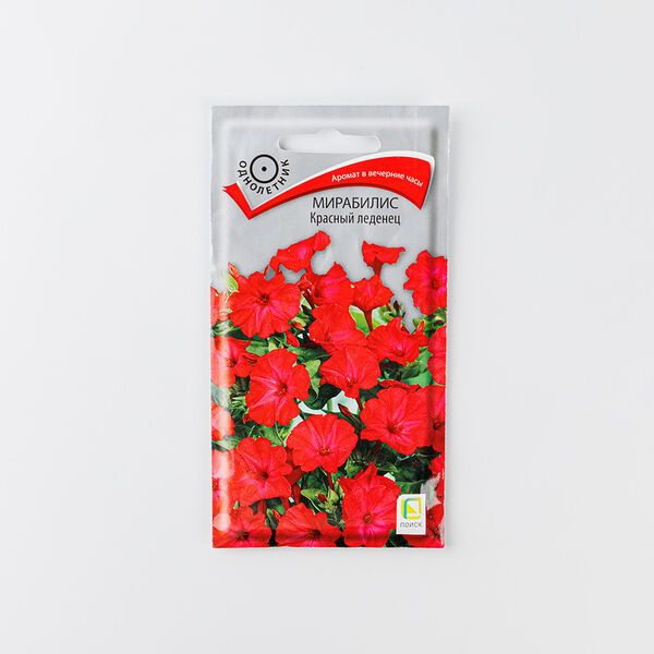 Семена Мирабилис 