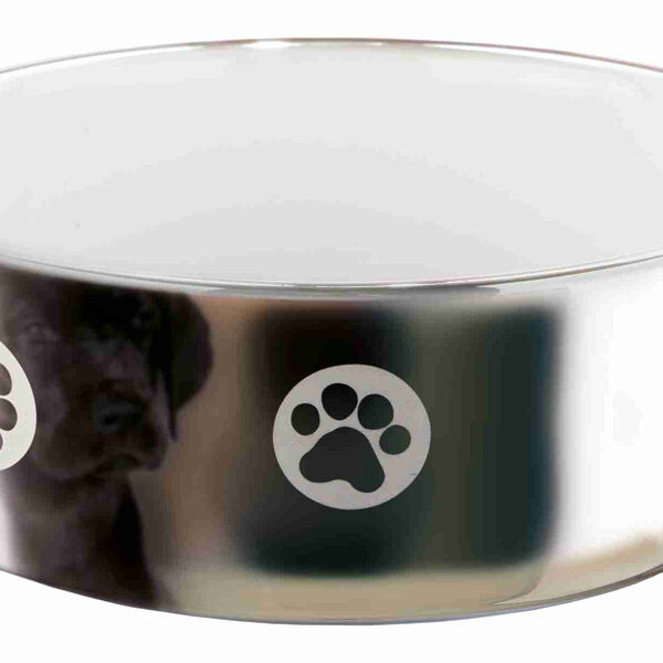 TRIXIE Миска для собак с рисунком Лапки серебряно-белая керамическая 1,5л ø 19см