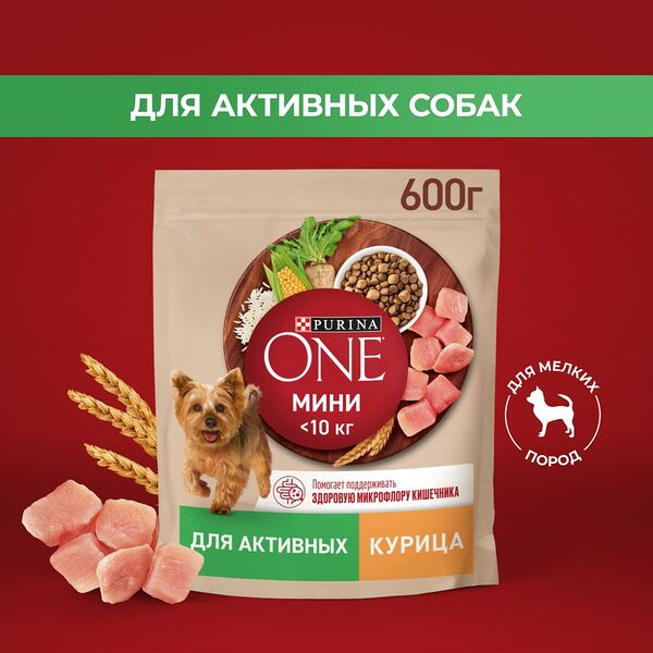 Сухой корм Purina ONE® для собак мелких пород с активным образом жизни, с высоким содержанием курицы и с рисом, Пакет, 600 г