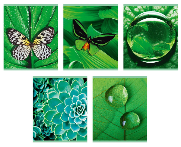 Тетрадь Listoff Занимательная природа A5 клетка 96 л, 1 шт в ассортименте