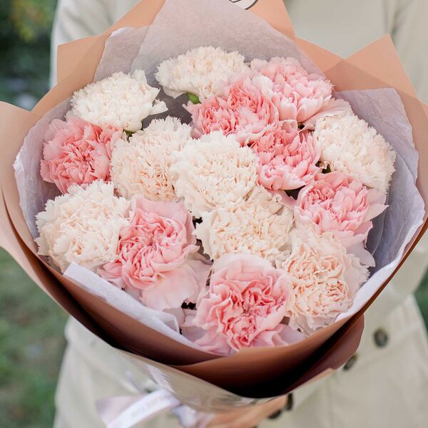 Букет из 15 розовых и кремовых гвоздик в кремовой пленке