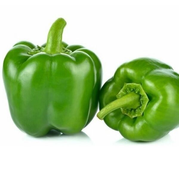 Перец болгарский