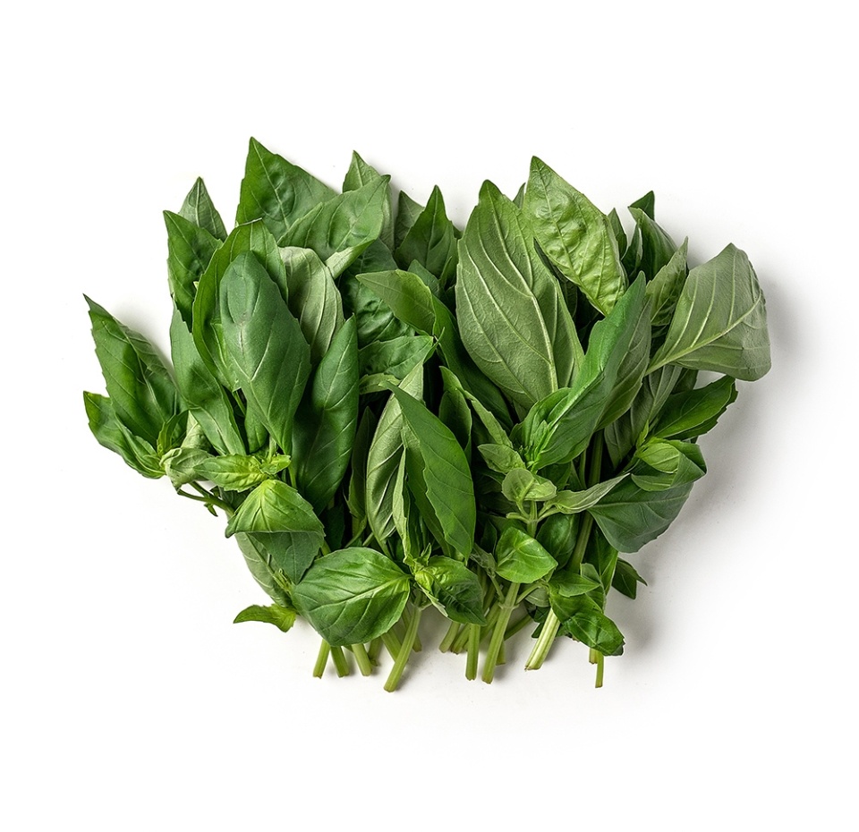 

Базилик зеленый, «Просто Азбука»