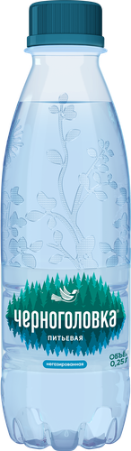 

Вода негазироованная Черноголовка Артезианская 250 мл