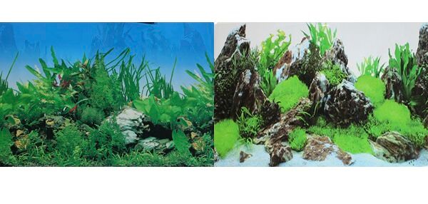 Фон для аквариума двухсторонний Растительный/Скалы с растениями 50 х 100 см.