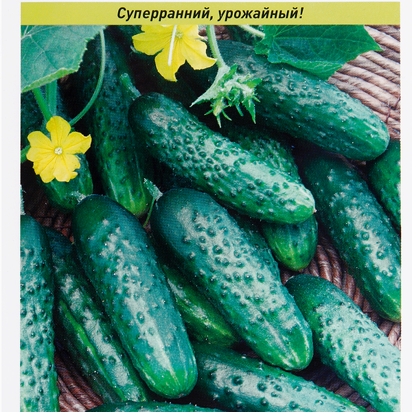 Семена РУССКИЙ ОГОРОД Огурец Герман F1, 8шт