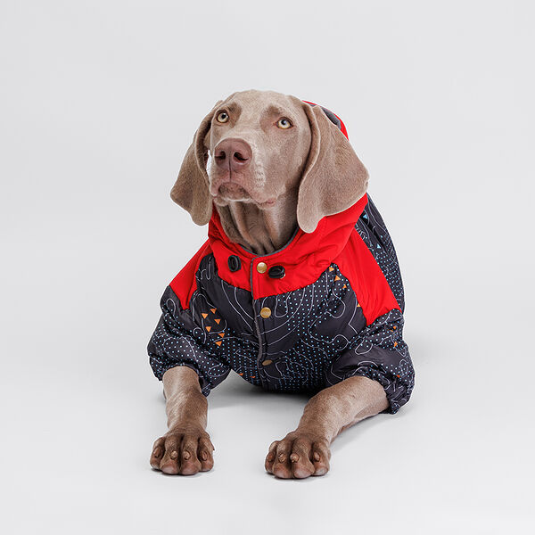 Куртка с капюшоном для собак, 5XL, красно-черная