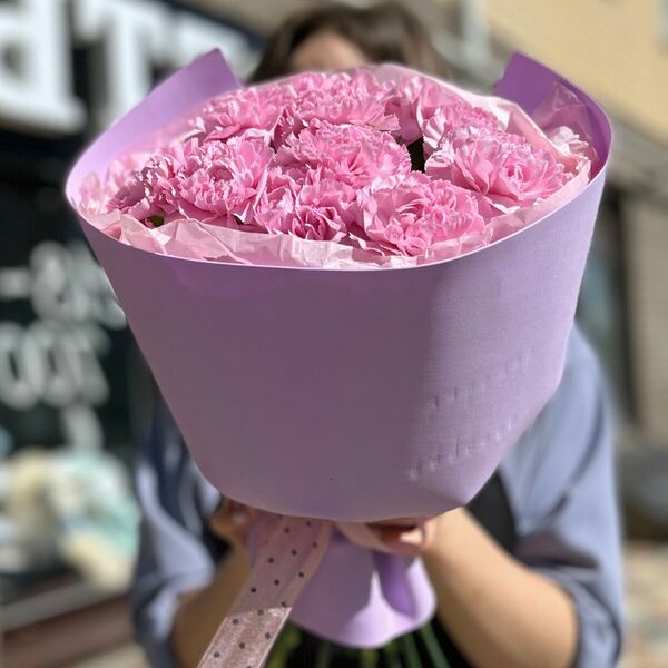 Розовые диантусы х11