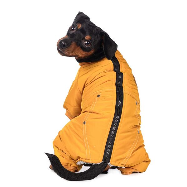 Комбинезон на молнии для собак S горчичный (девочка)