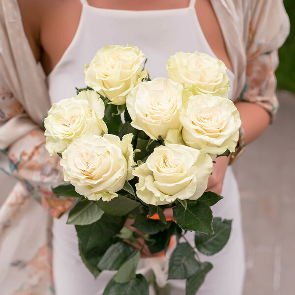 Розы белые 7 шт. Под ленту.