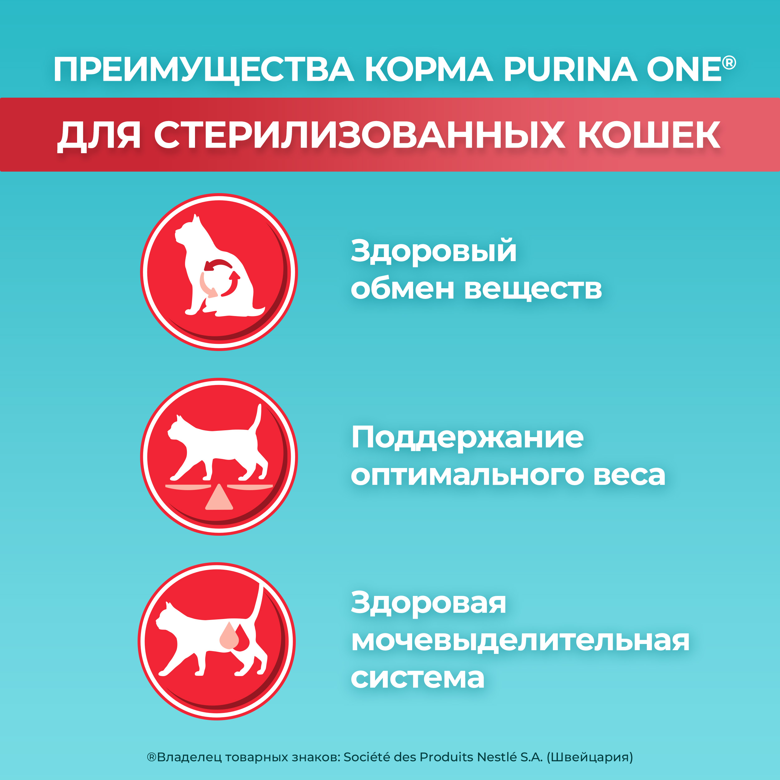 

Корм сухой Purina One Лосось для стерилизованных кошек и кастрированных котов 3000 г