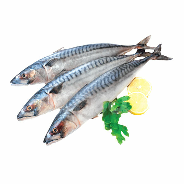 Скумбрия вес с/м в Глазури Тендер фас (1000 г)