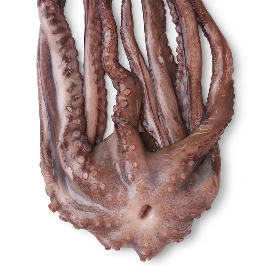 

Осьминог охлажденный, вес