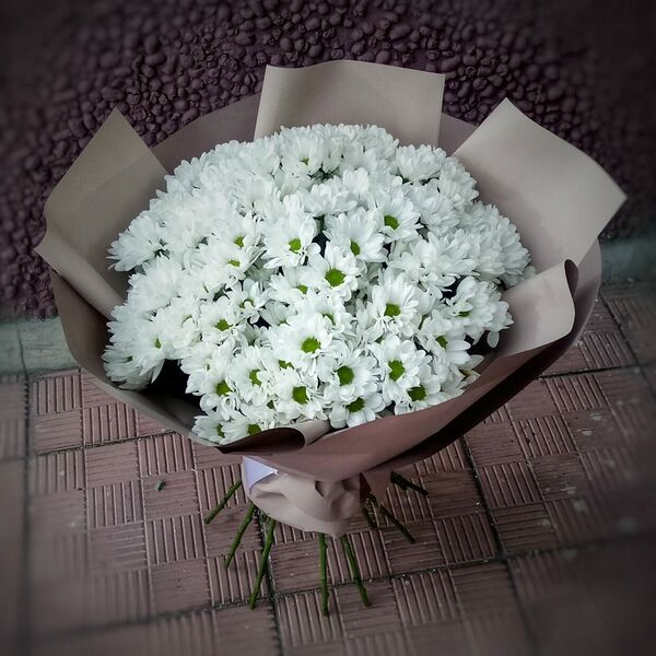 Ромашковое облако