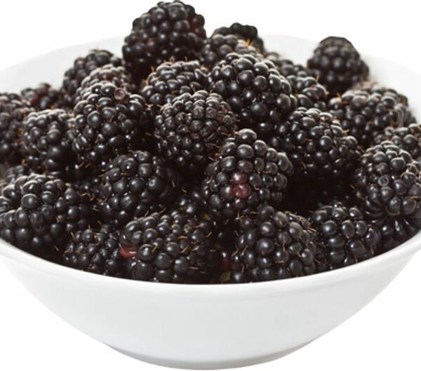 Ежевика 1 уп.