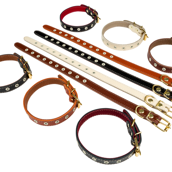 Ошейник для собак BraVa безразмерный с подкладом ширина 17мм, обхват шеи 29-38см, цвет в ассортименте