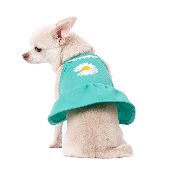 Платье для собак с ромашкой S зеленый (девочка)