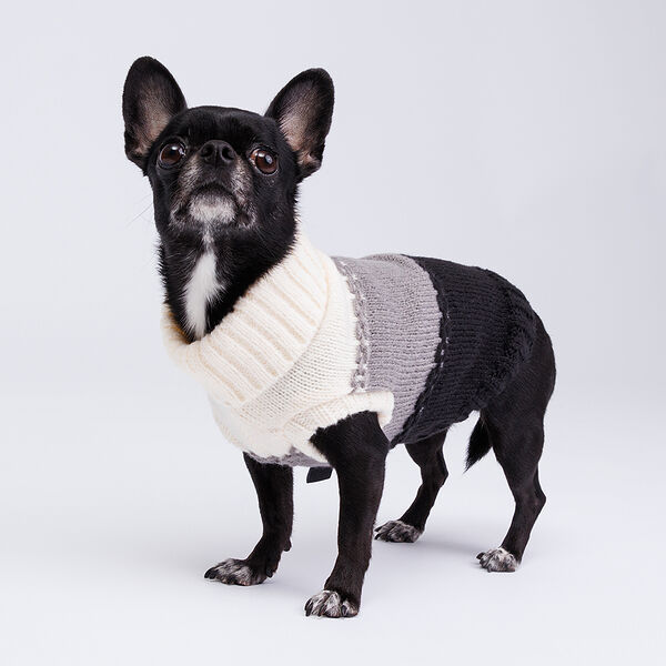 Свитер для собак, 30 см, черно-белый