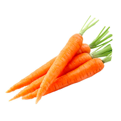 Морковь молодая Узбекистан