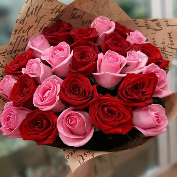 25 бордово-розовых роз
