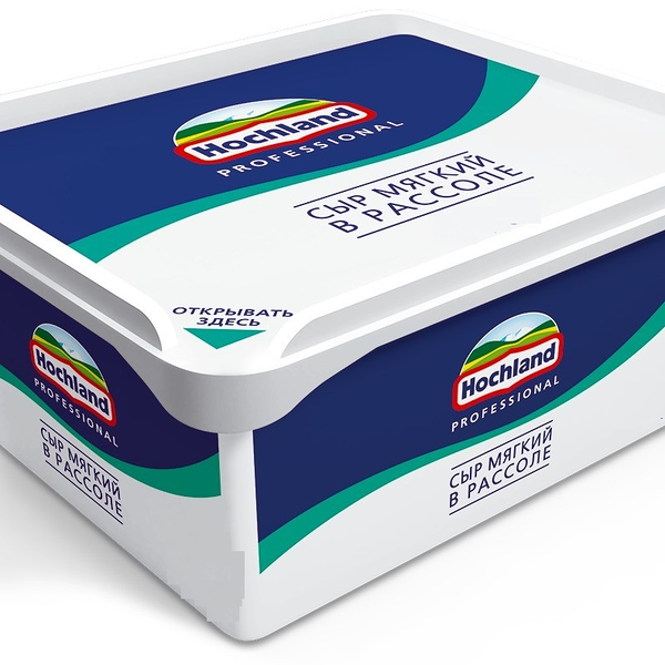 Сыр мягкий в рассоле Hochland Professional (Хохланд Профешинал)