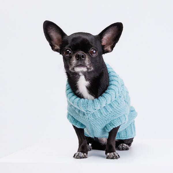 Свитер вязаный для кошек и собак, 25 см, голубой
