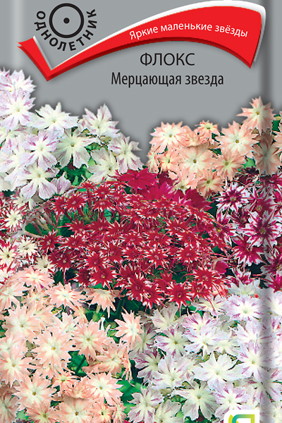 Семена Поиск Флокс Мерцающая звезда В19