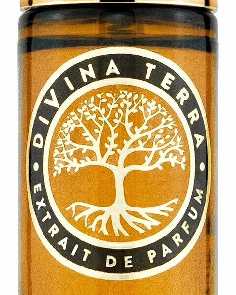 DIVINA TERRA Ti Sento Духи унисекс, 15 мл