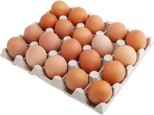 

Яйцо куриное Лента С1 Селен и йод 20 шт, картон