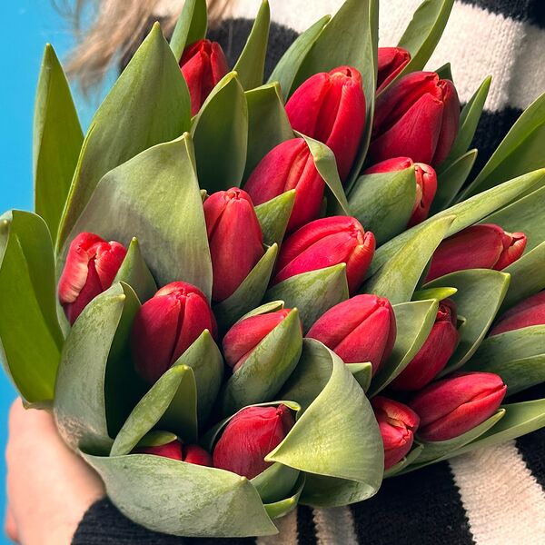 Красный мак