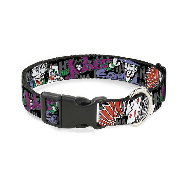 Buckle-Down ошейник 