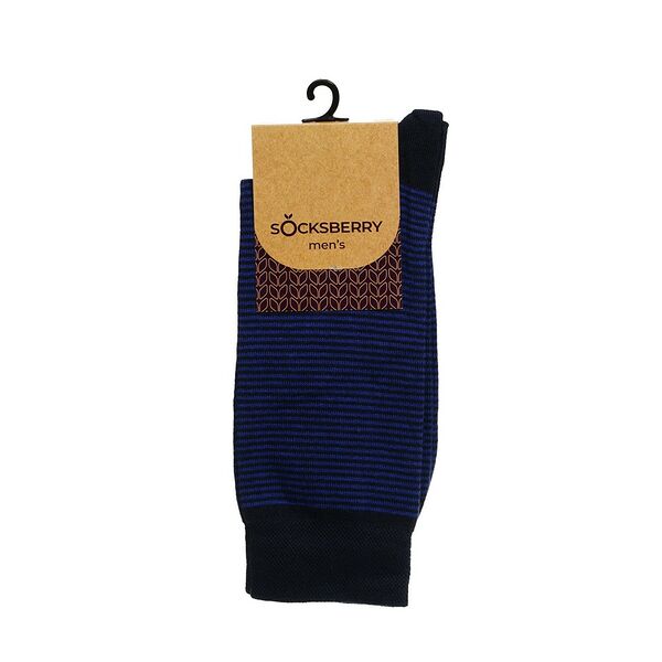 Мужские носки Socksberry Men's BK-20 классические р.27